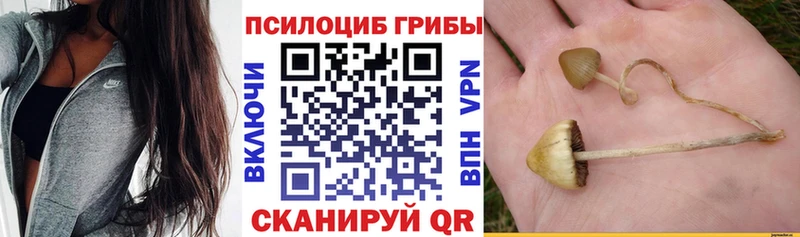 Галлюциногенные грибы MAGIC MUSHROOMS  Шлиссельбург 